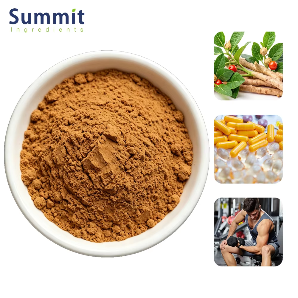 s Ashwagandha Extract the Popular Adaptogen Sought After by Stress-Stricken Populations? Authoritative Research Breaks Down This Trending Raw Material