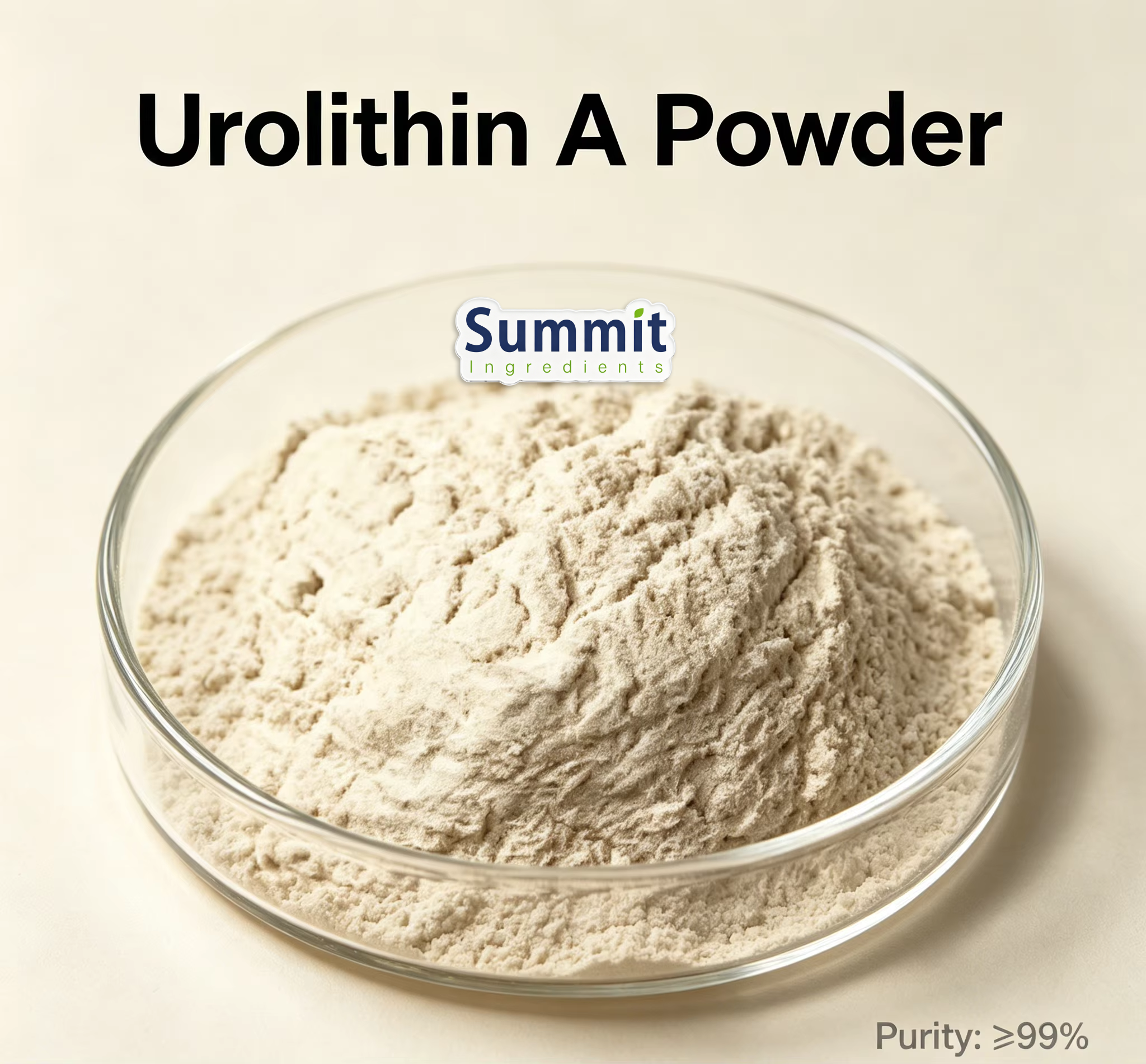 Pourquoi l'urolithine A est-elle devenue une nouvelle référence en matière de matières premières anti-âge ?