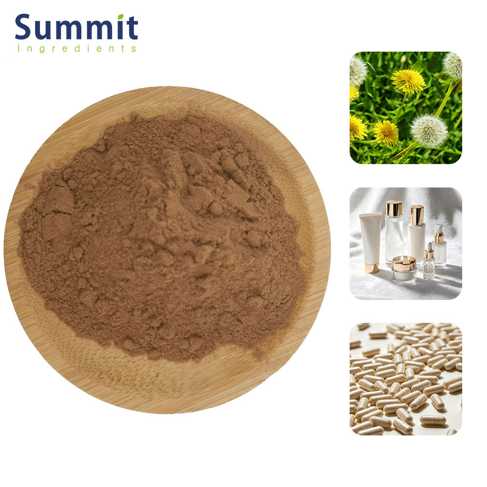 What RealWorld Benefits Does Dandelion Root Extract Offer for Digestion and Metabolic Support?