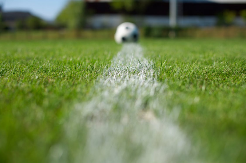Artificial Grass