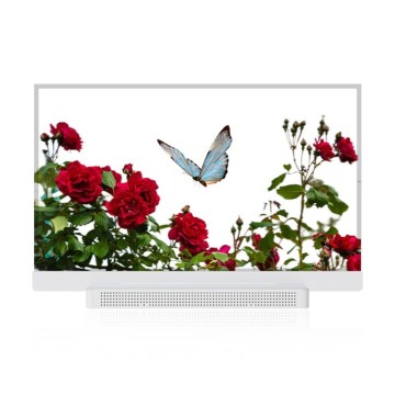 OLED Transparent Display Screen
