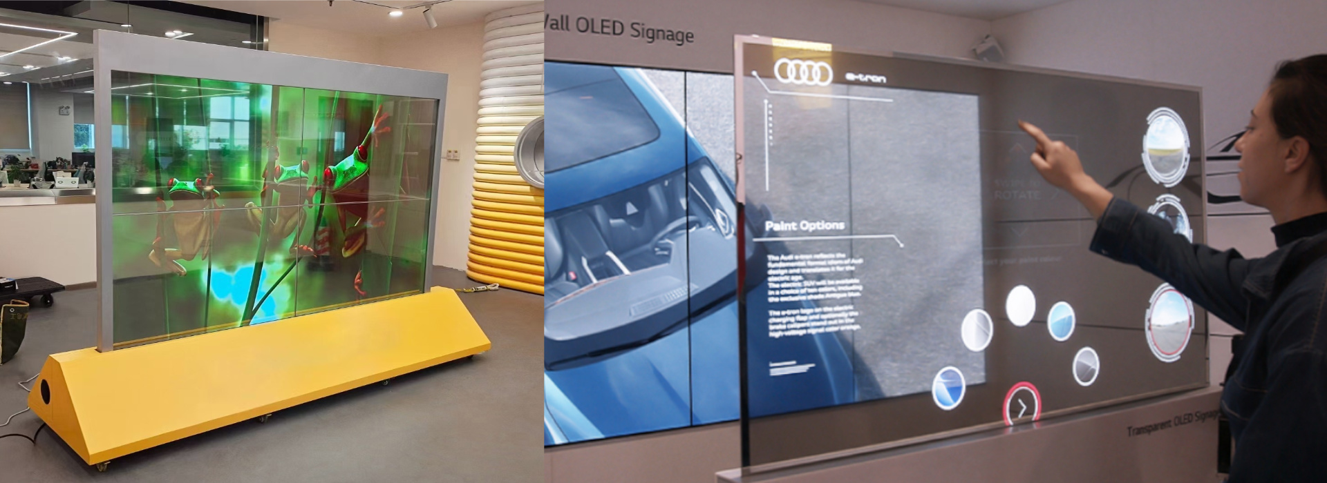 OLED Transparent Display Screen (19)