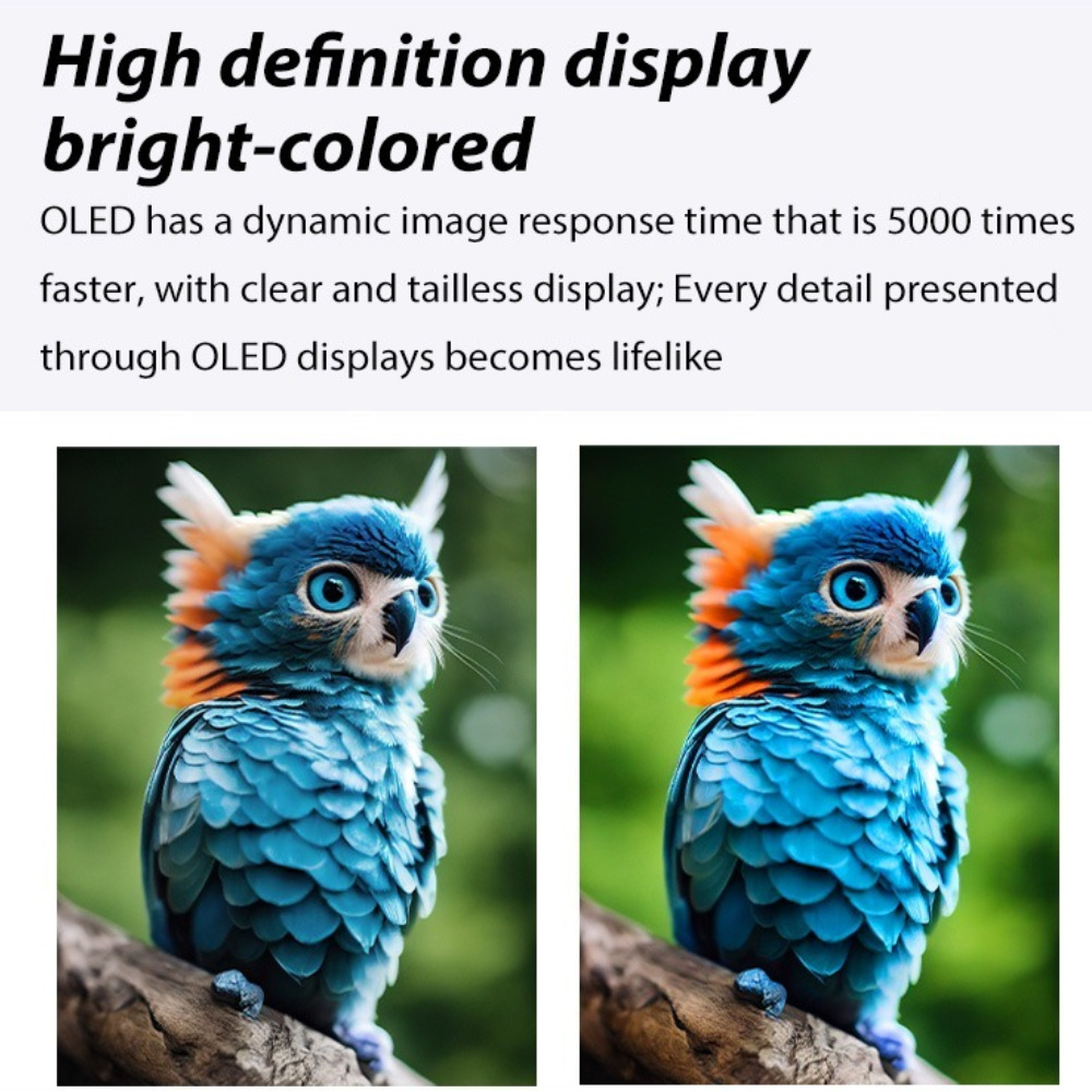 Écran OLED transparent (4)
