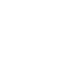 Industrial Customization