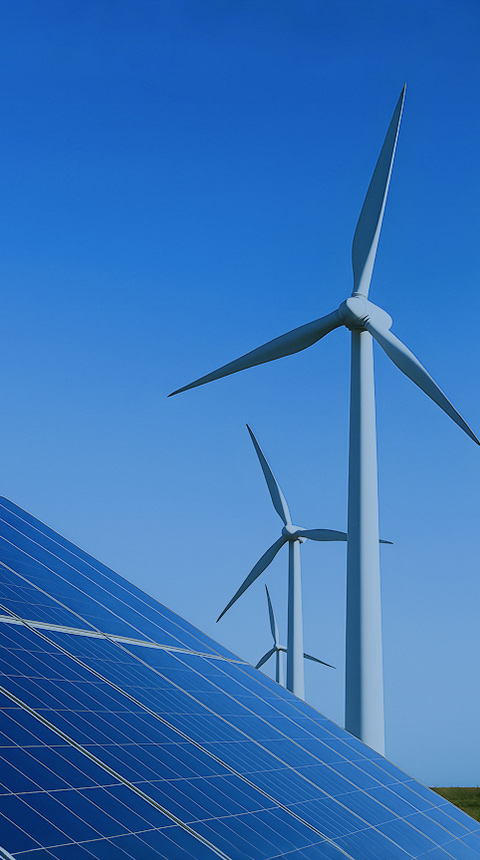 Renewable Energy Ecosystem