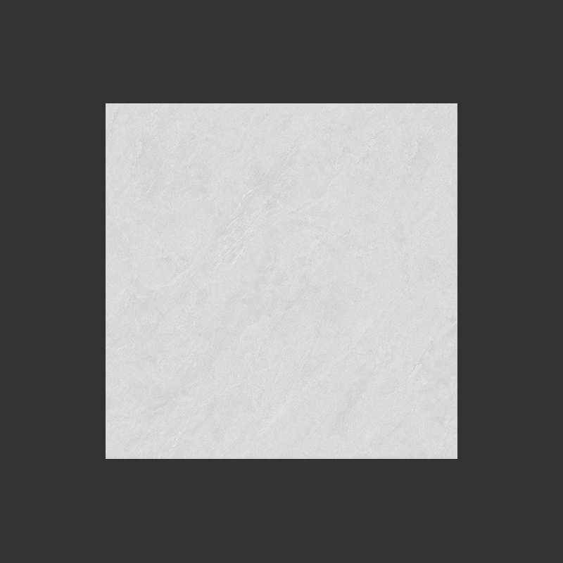 Image principale de SCP800L006 5.jpg