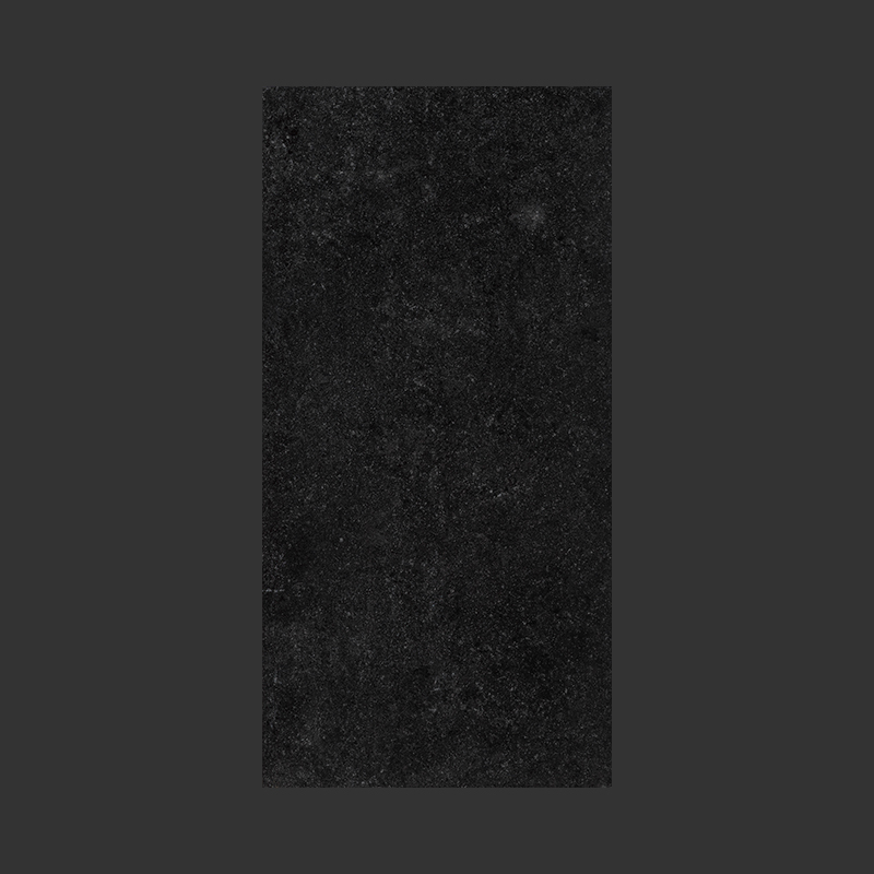 Image principale 5 du SLM61209.jpg