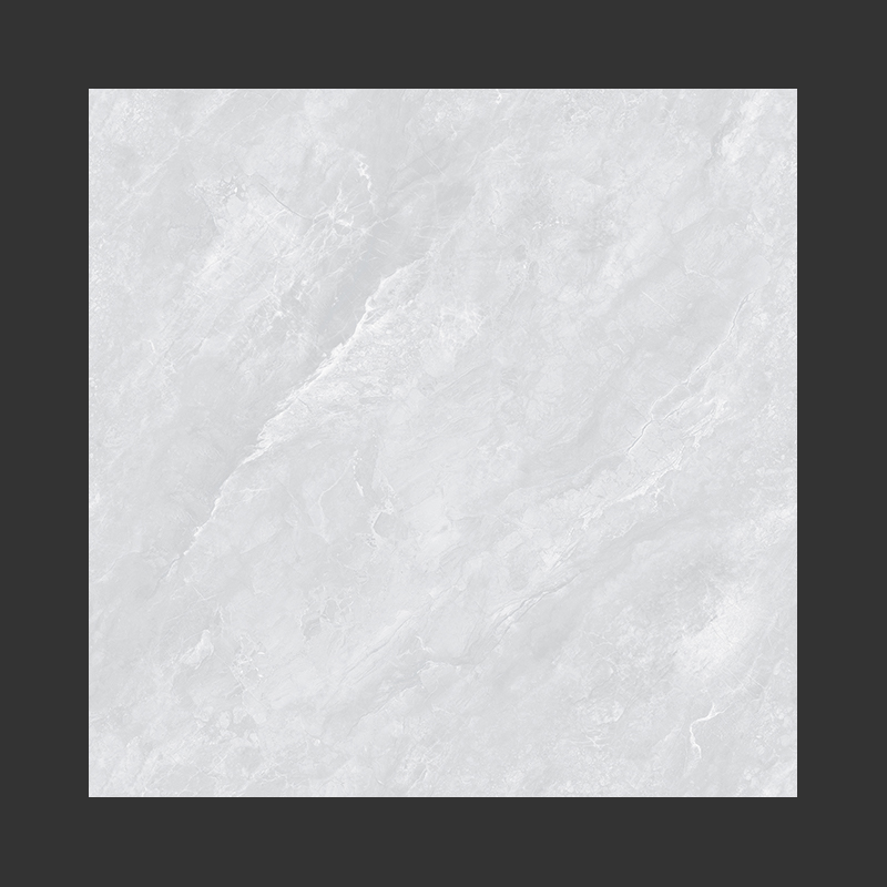 TF800L010 image principale 5 .jpg