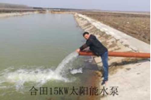 Application-Case-Presentation7