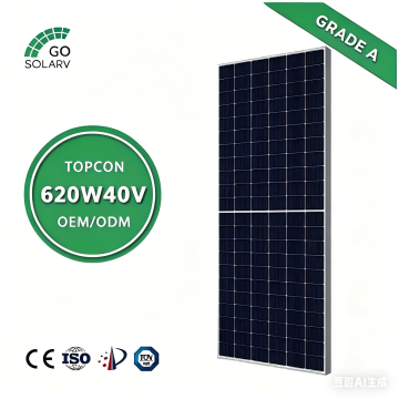 N-Type TOPCon PV Module for Residential & Commercial Use 620W40V-1