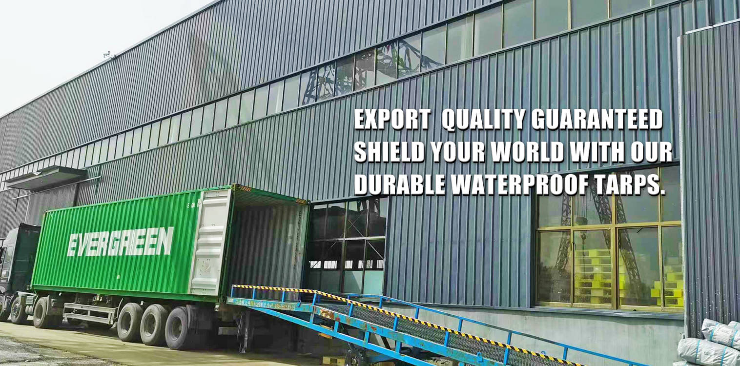 Línea de producción completa para la exportación de taroaulin en China