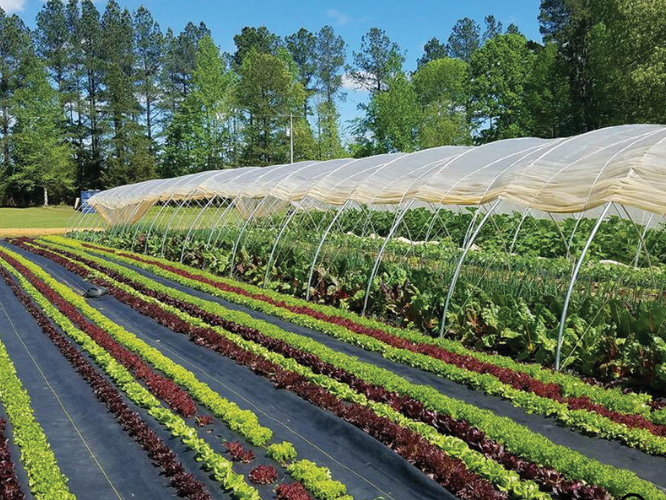 weed barrier fabric