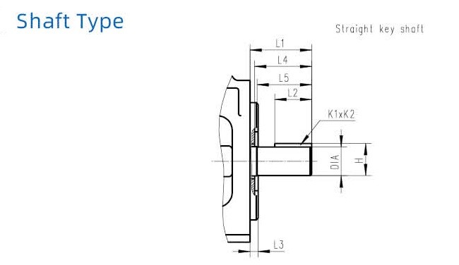 ABT double pump detail (5)
