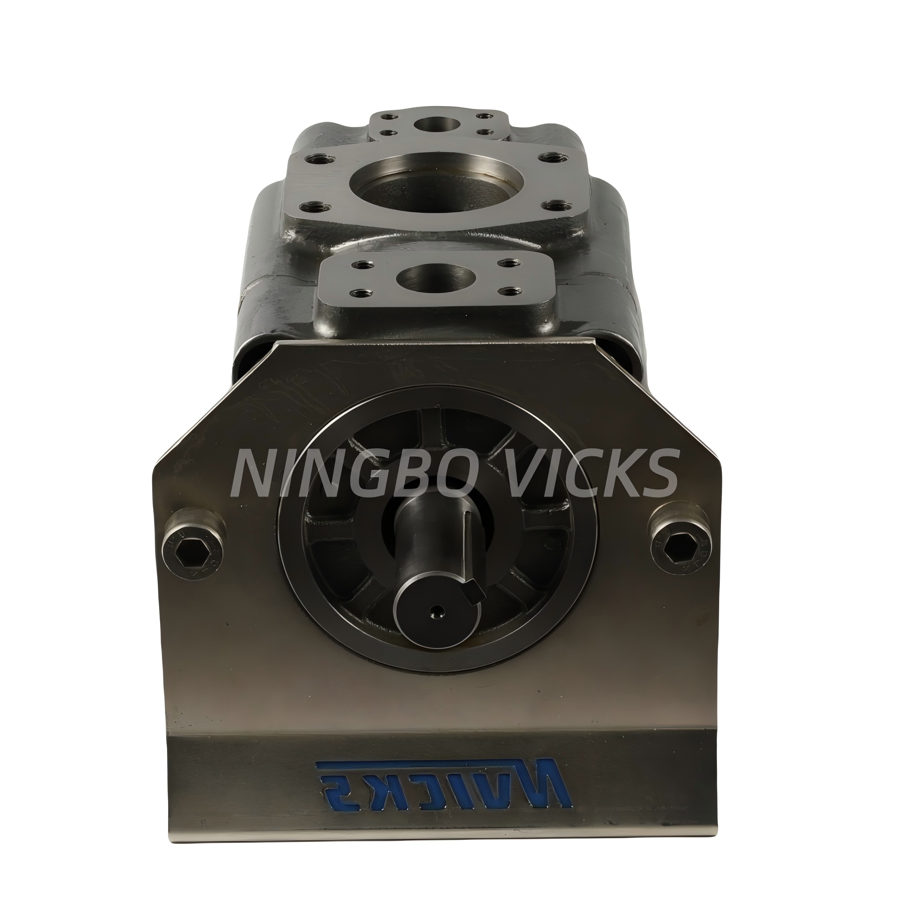 Precision Industrial Servo Vane Pumps Albert Abt Series (1)
