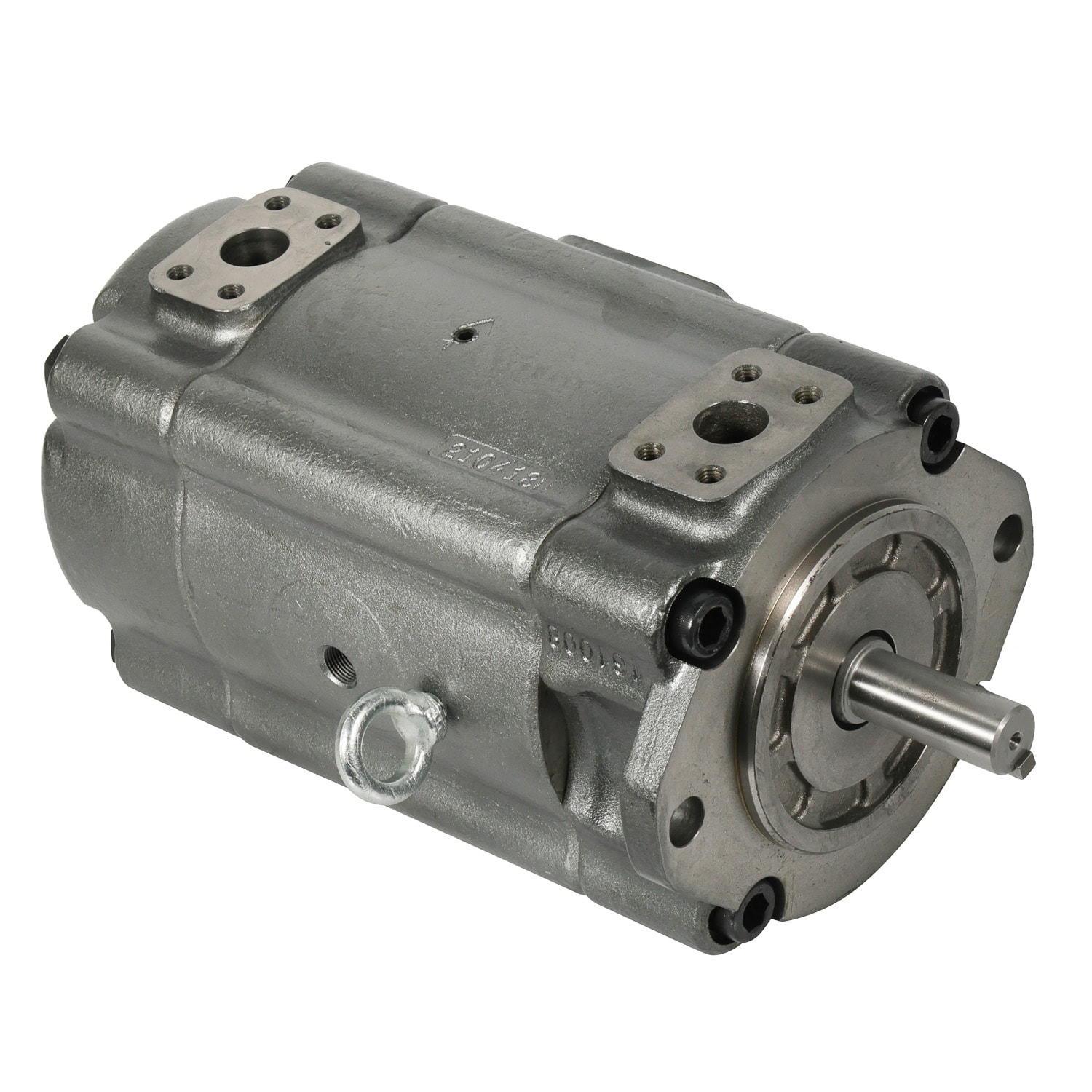 Precision Industrial Servo Vane Pumps Albert Abt Series