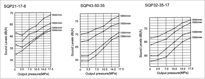 SQP Series Double Pump detail (1)