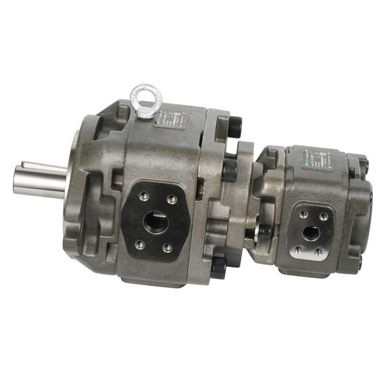 Versatile Internal Vg Series Combined Gear Pump for Industrial Applications VG21