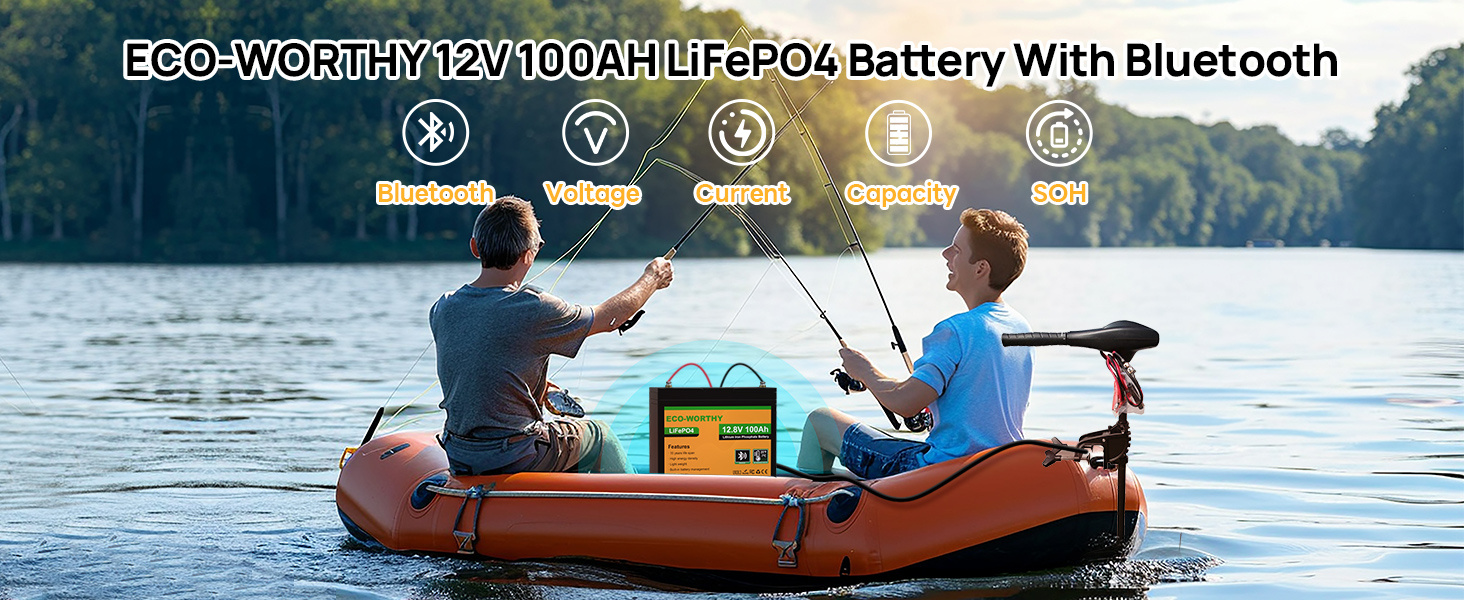 12v 100ah LiFePO4 Battery (6)