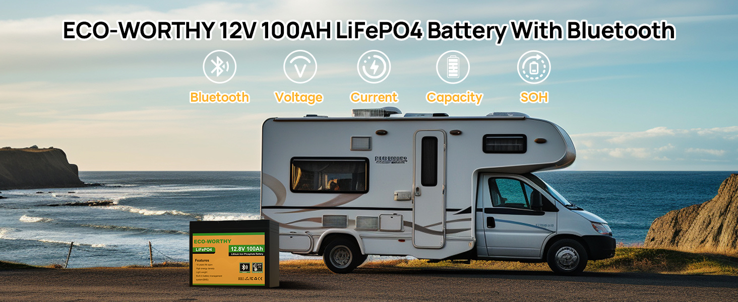 12v 100ah LiFePO4 Battery (7)