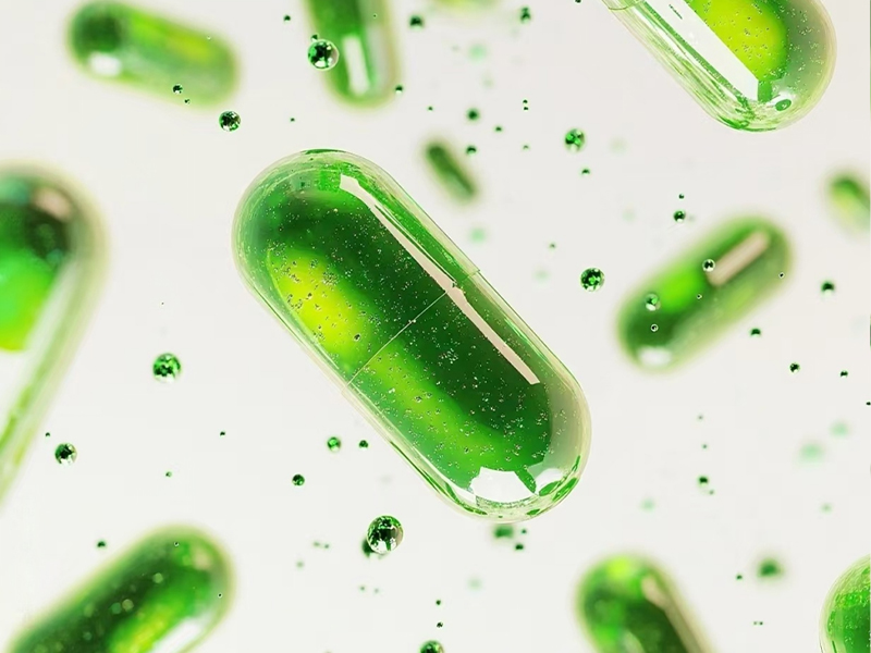 Breakthroughs in Bacillus coagulans Research: Innovations and Applications Across Industries
