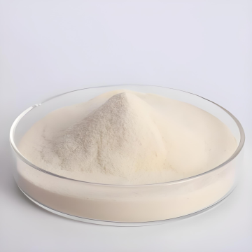 Netupitant