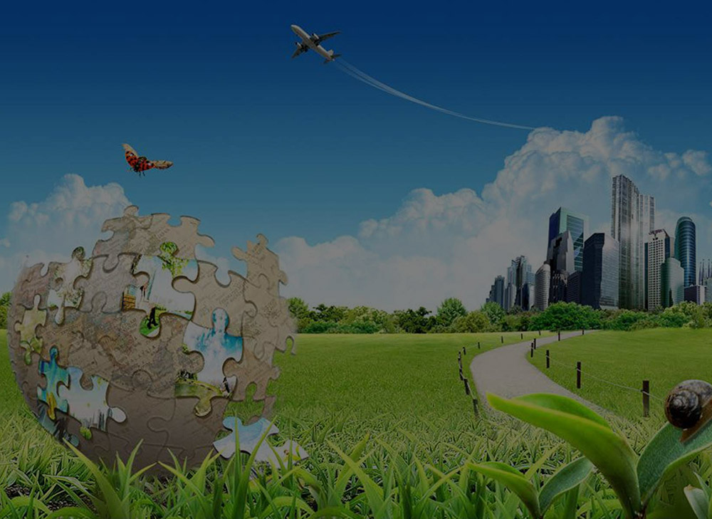 Industry Solutions (6)