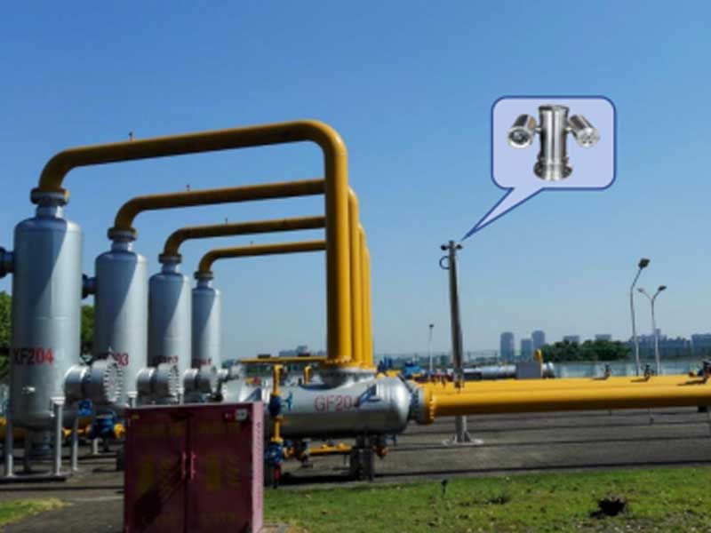 Laser Gas Detection Cases