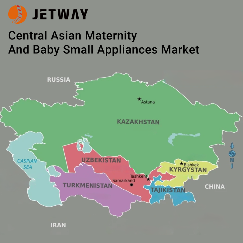 Development Potential and Trends of the Maternal and Infant Small Appliance Market in Central Asia
