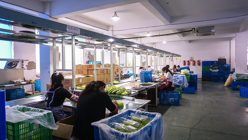 production-line-2