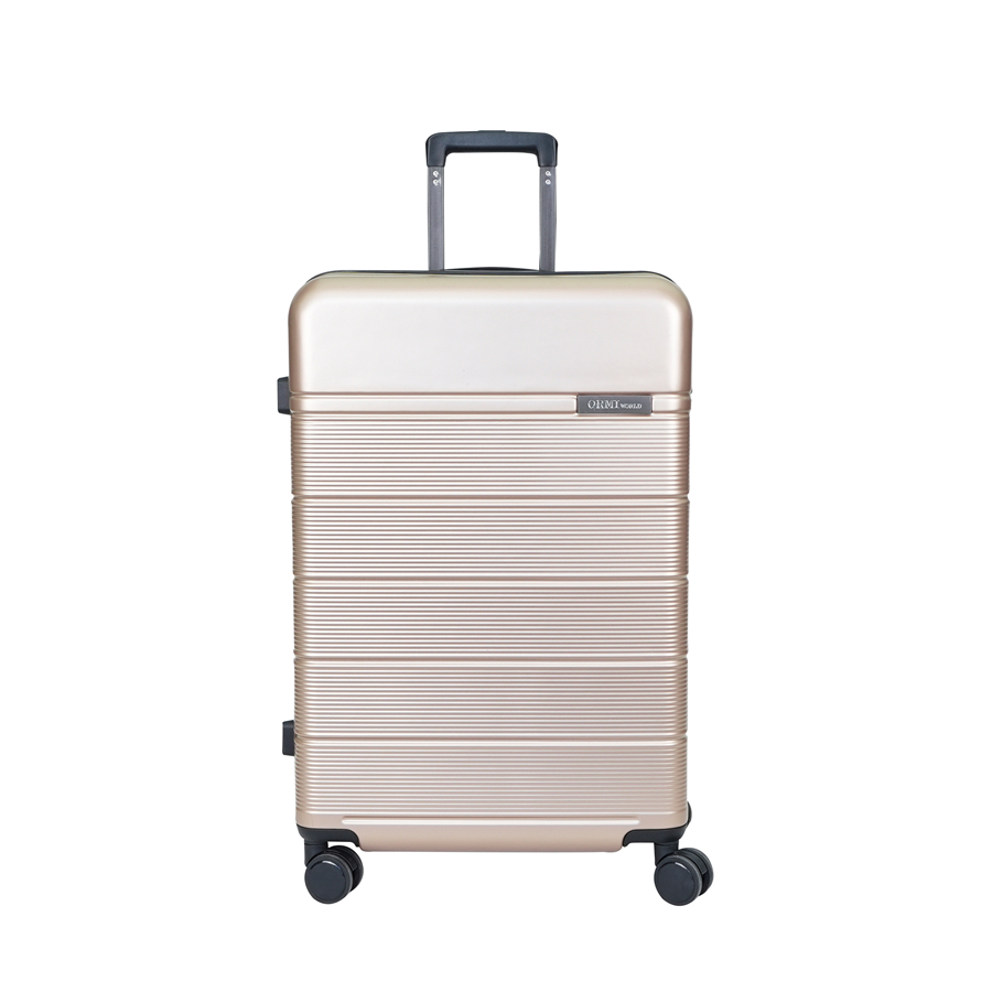 BAGAGES POUR PC