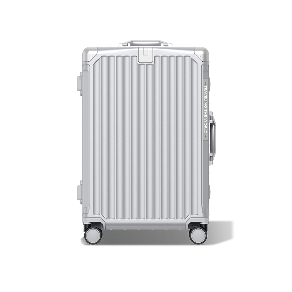 silver luggage (1).jpg