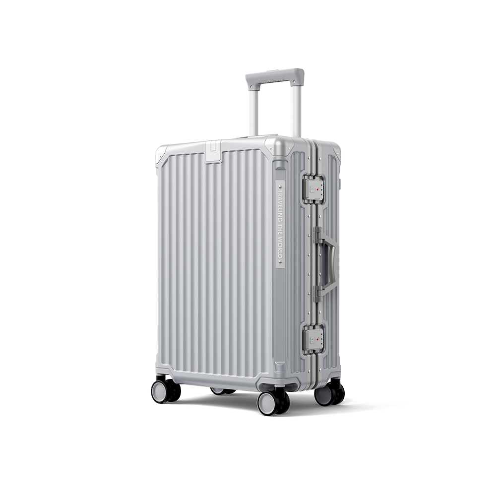 silver luggage (2).jpg