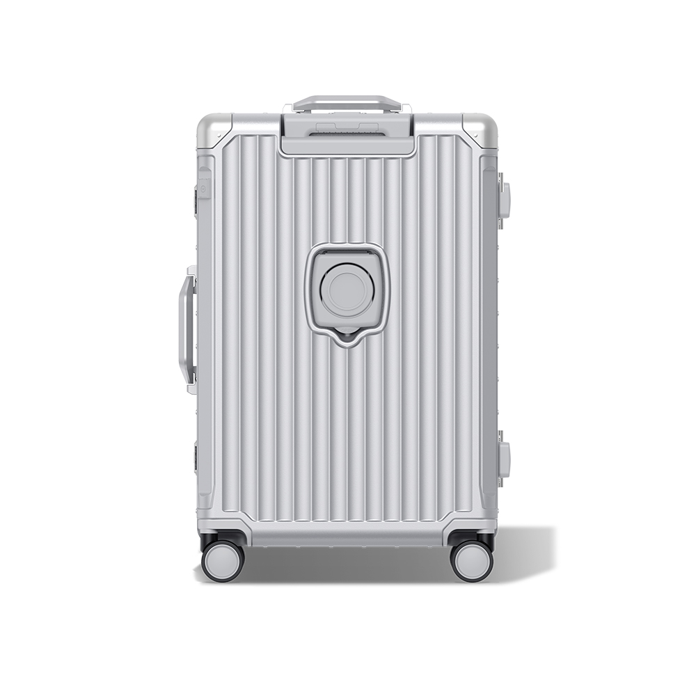 silver luggage (3).jpg