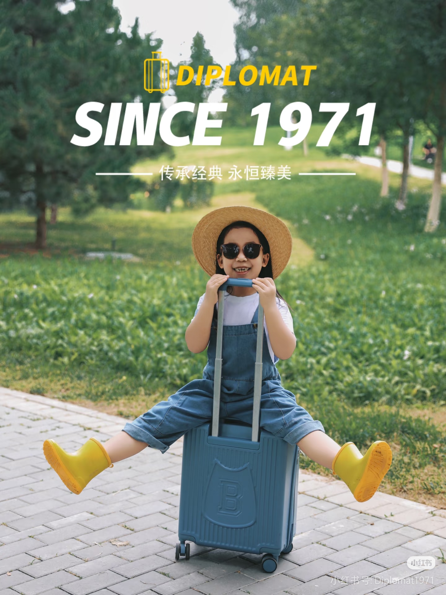 Diplomat: 50+ Years of Crafting Travel Excellence for the Global Journey