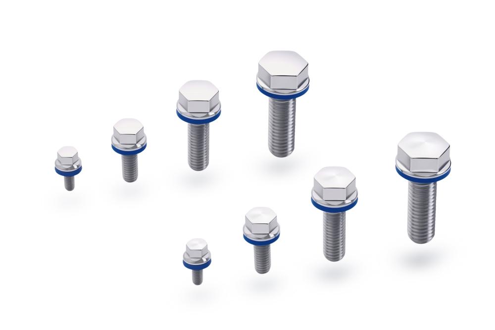 Underside view of hygienic star knob showing internal blind thread and blue sealing ring to prevent bacteria traps