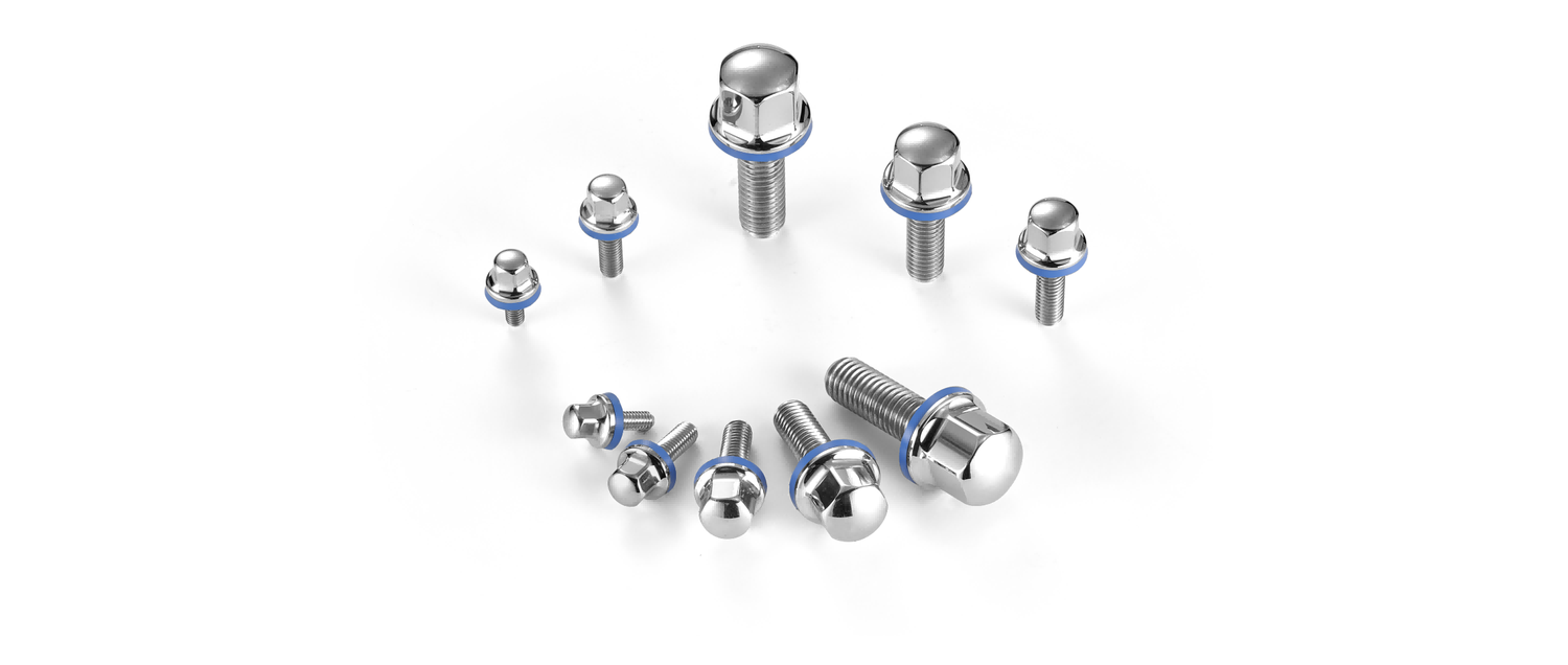 Hygienic stainless steel polished bolts and food-grade screws