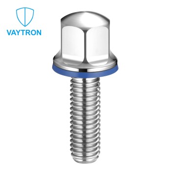 Hygienic Domed Hexagon Head Bolt——VTS28