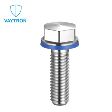 Hygienic Design slightly domed Hexagon head Bolt——VTS29
