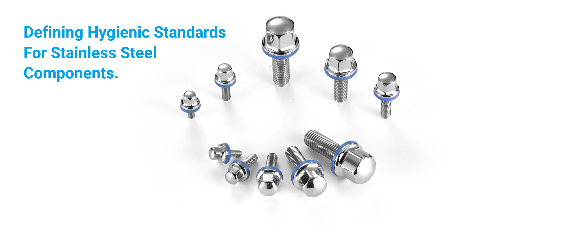 Hygienic stainless steel polished bolts and food-grade screws