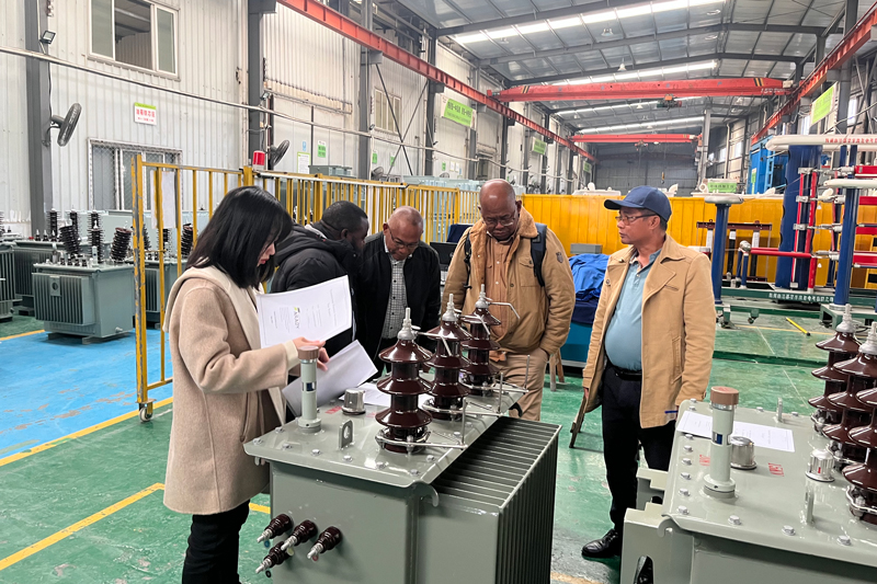 Farady Distribution Transformer in JIRAMA Madagascar