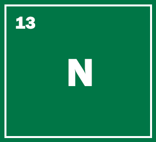 N-13