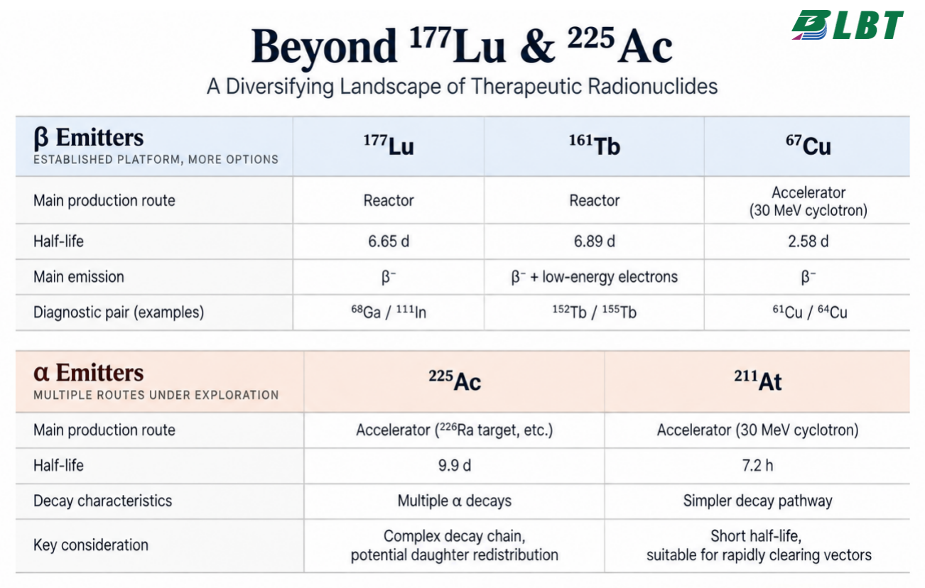 Beyond ¹⁷⁷Lu and ²²⁵Ac: Where Are Next-Generation Therapeutic Radionuclides Heading?