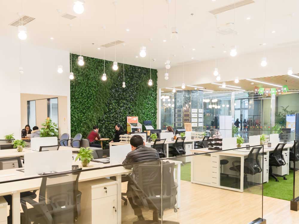 Work Environment (6)