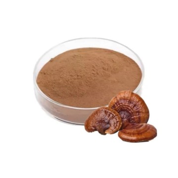 ສານສະກັດຈາກເຫັດ Ganoderma Lucidum Reishi ຈາກທຳມະຊາດ ສຳລັບການສ້າງພູມຄຸ້ມກັນ