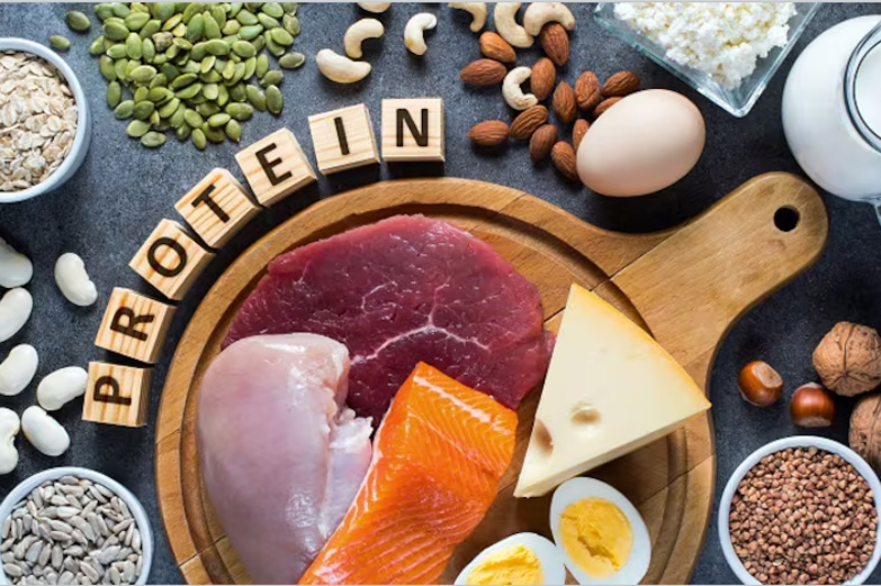 The rise of high-protein formulations in new product formats