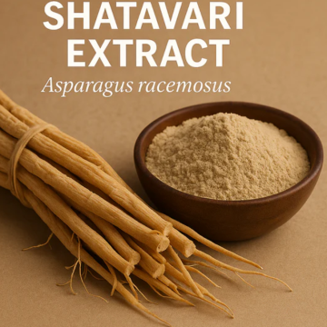 ສານສະກັດຈາກ Shatavari ທຳມະຊາດ 100% ສຳລັບສຸຂະພາບຂອງແມ່ຍິງ