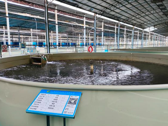 Gestion de la qualité de l'eau en aquaculture