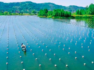 analyses d'eau pour l'aquaculture