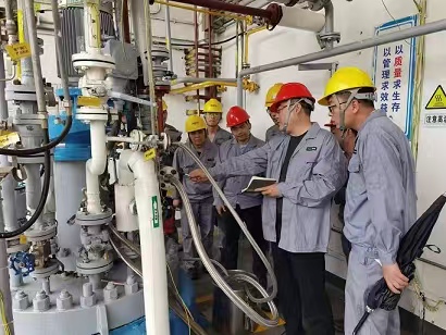 Pipeline leakage inspection and maintenance