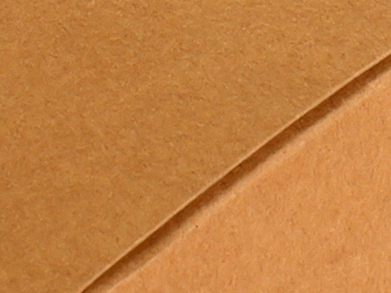 Easabearing (1)